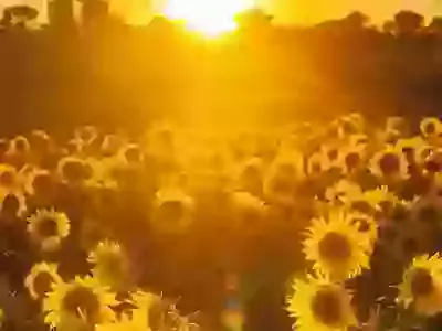Blessed are you who...